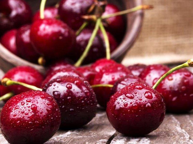 Вишня купить саженцы из питомника в Самаре
